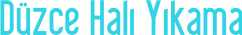 düzce halı yıkama logo